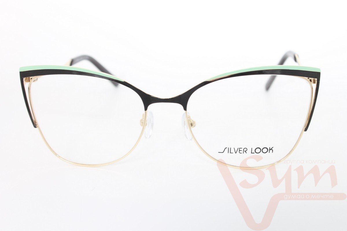 Оправа SILVER LOOK B16035 С2