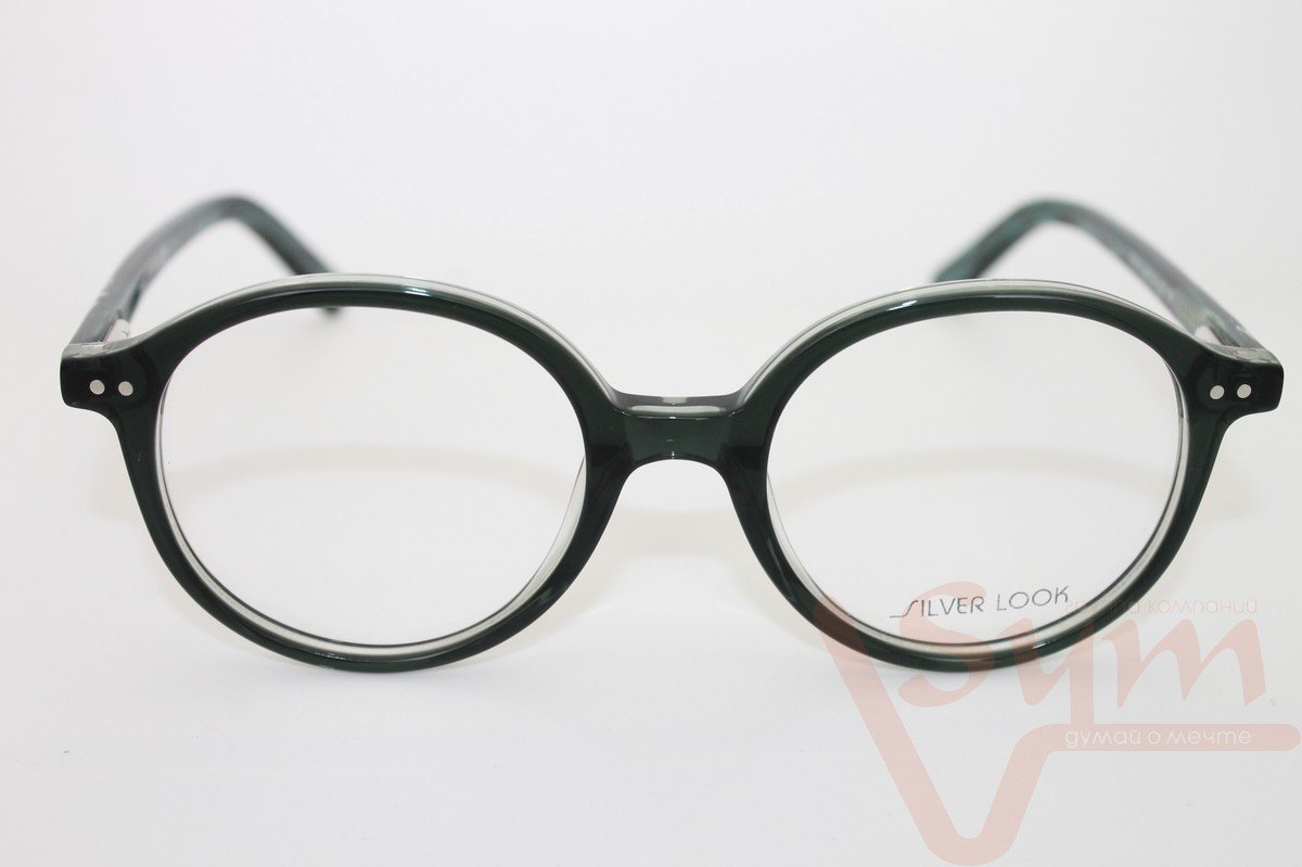 Оправа SILVER LOOK R2101 С4