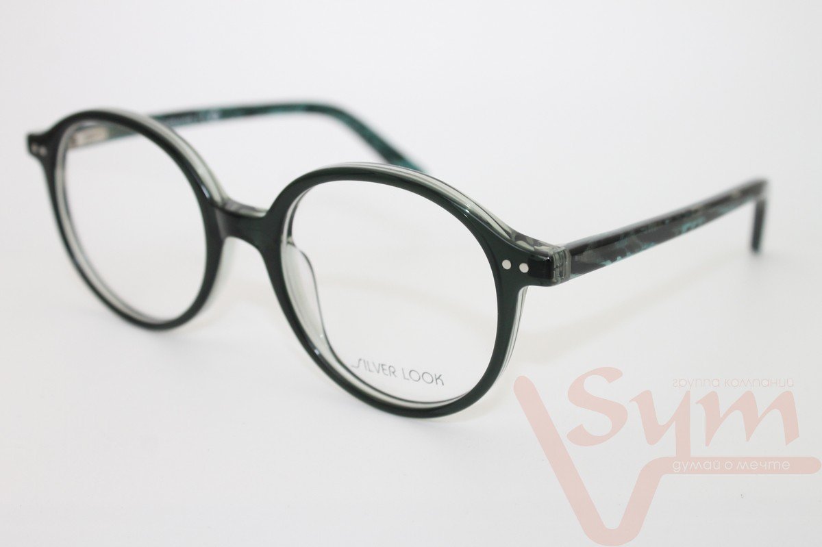 Оправа SILVER LOOK R2101 С4