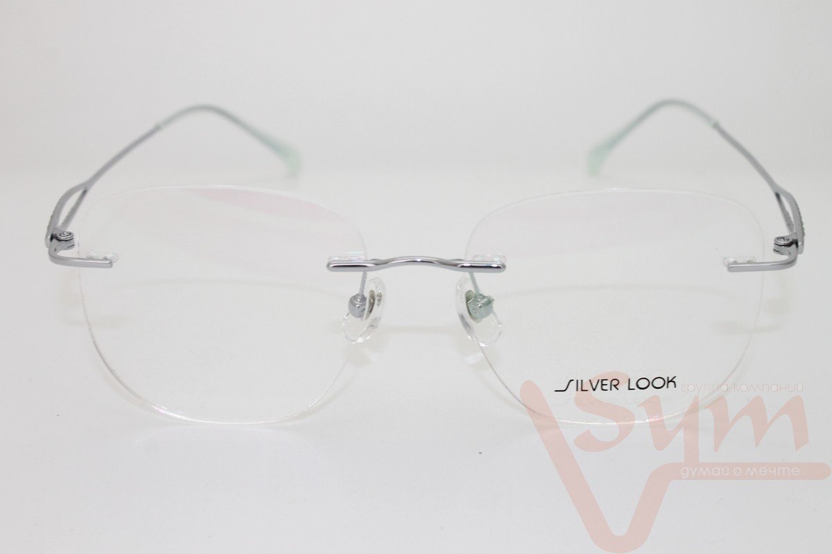 Оправа SILVER LOOK+футляр 87217 серые