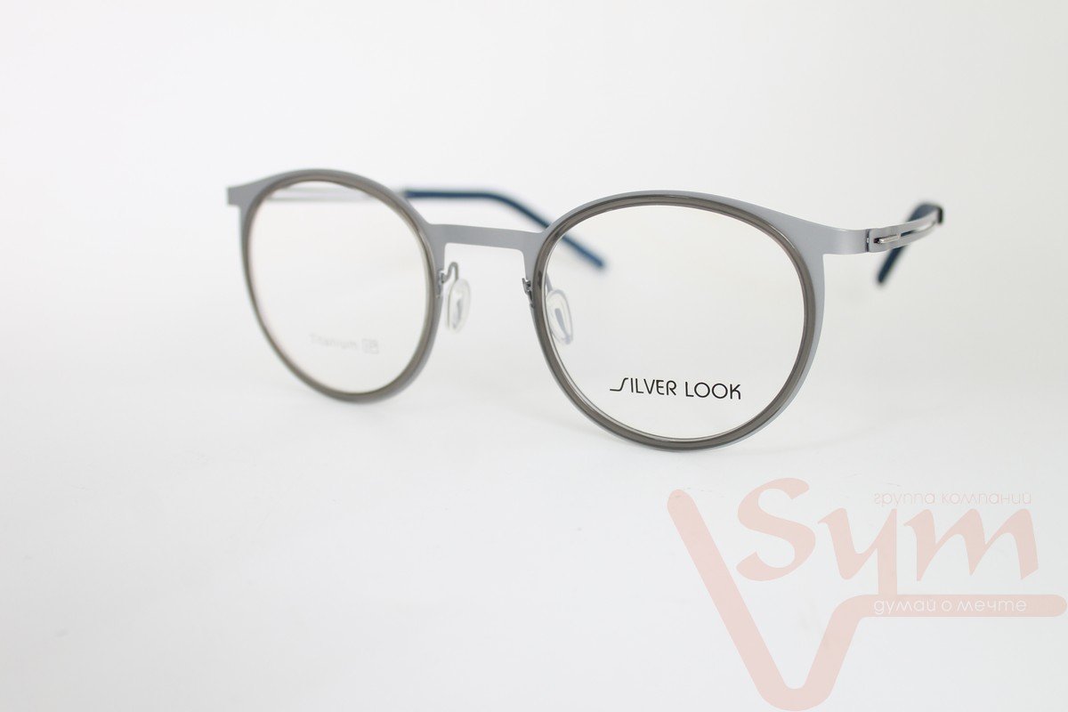 Оправа SILVER LOOK+футляр Т-18038 С2