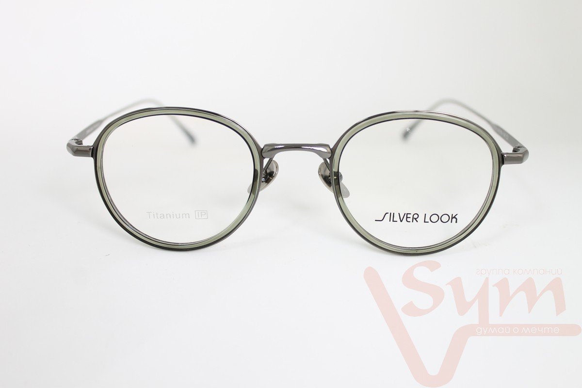 Оправа SILVER LOOK+футляр Т-18229 С3