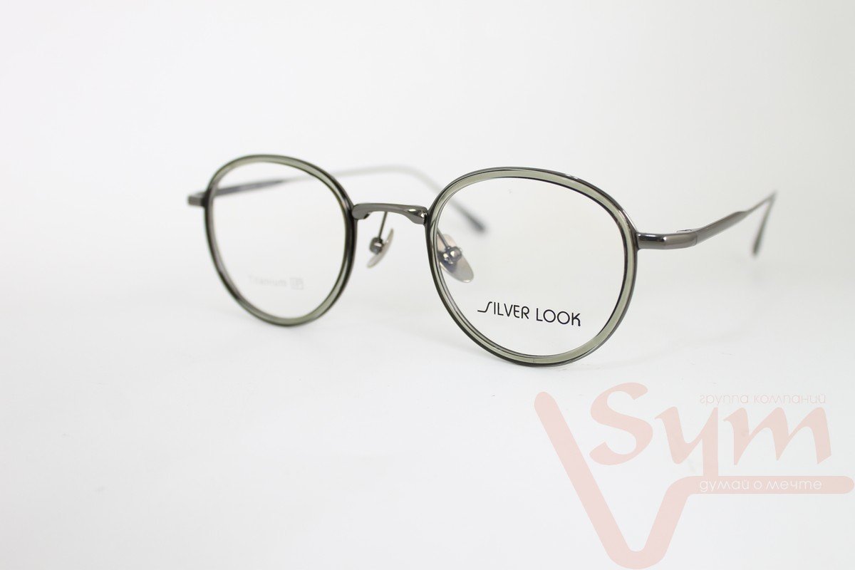 Оправа SILVER LOOK+футляр Т-18229 С3
