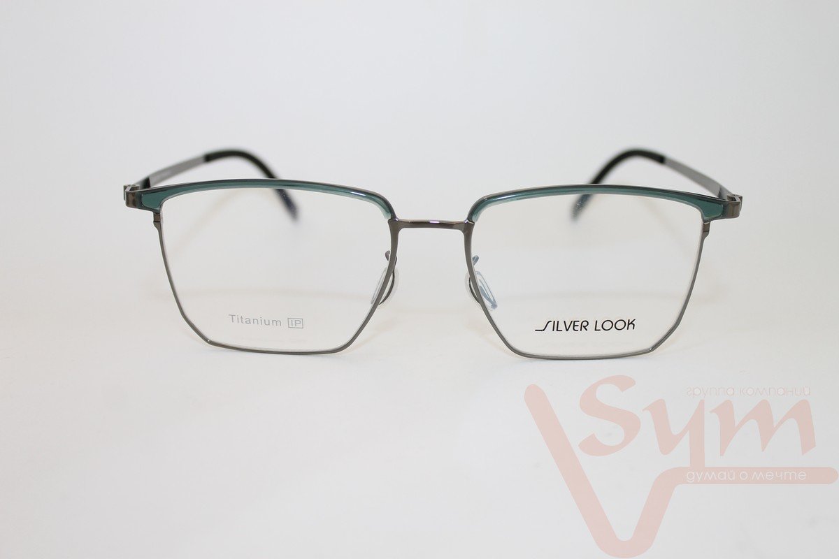 Оправа SILVER LOOK+футляр Т-18237 С5