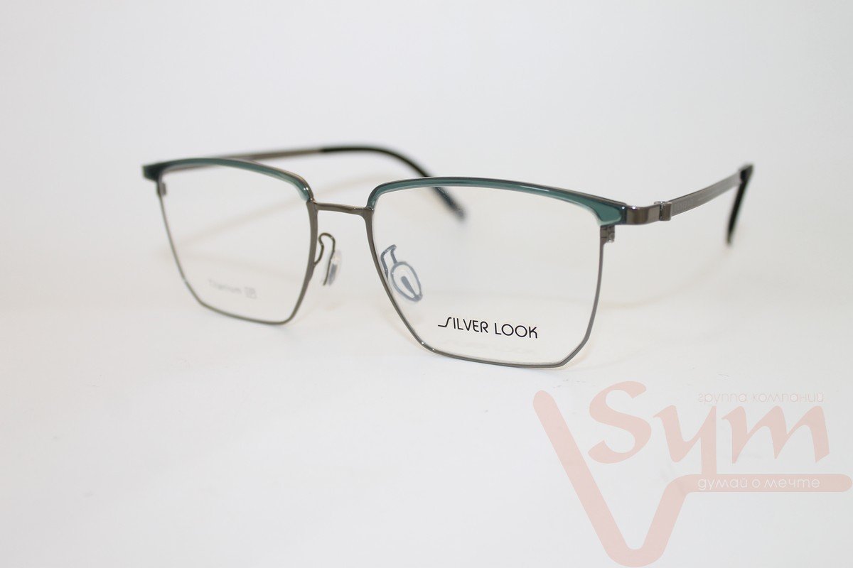Оправа SILVER LOOK+футляр Т-18237 С5