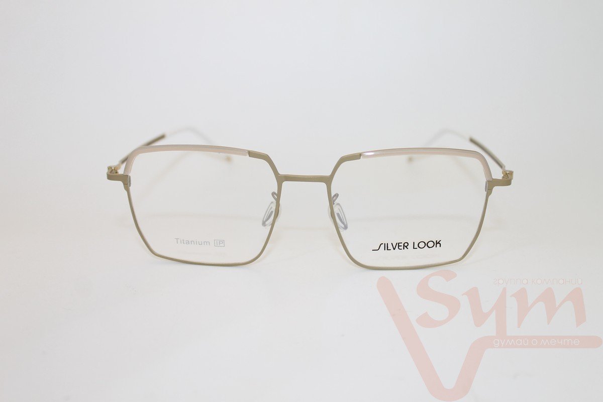Оправа SILVER LOOK+футляр Т-18252 С1