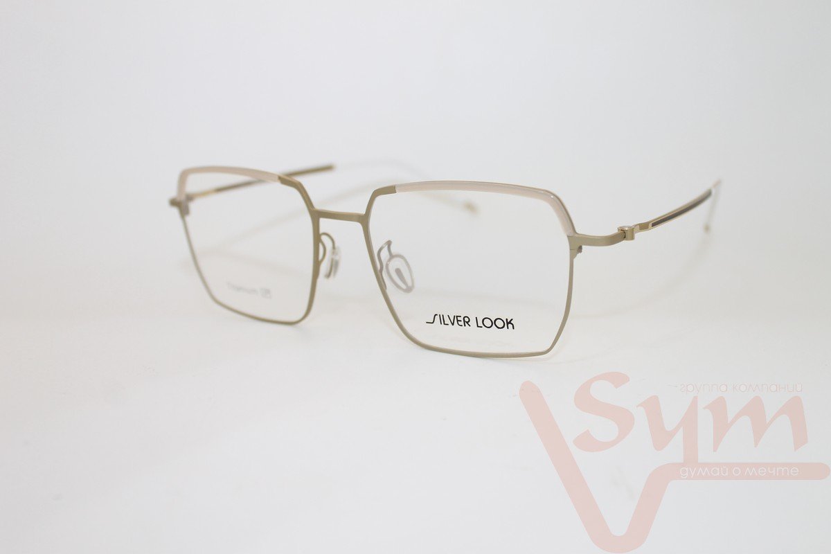 Оправа SILVER LOOK+футляр Т-18252 С1