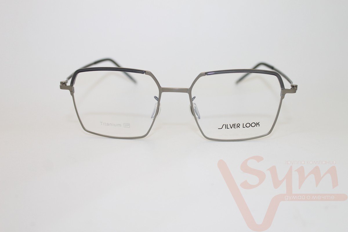 Оправа SILVER LOOK+футляр Т-18253 С3
