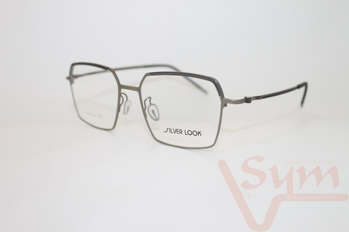 Оправа SILVER LOOK+футляр Т-18253 С3