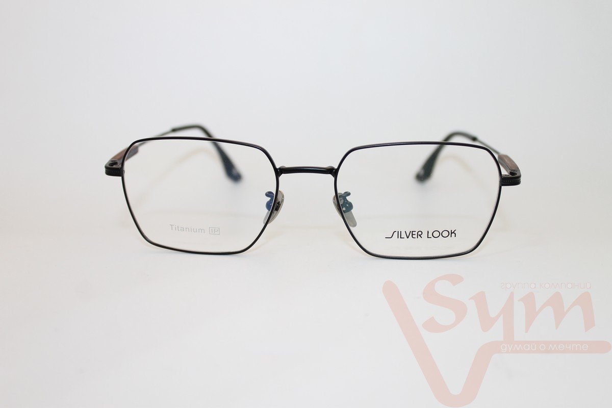 Оправа SILVER LOOK+футляр Т-18257 С8