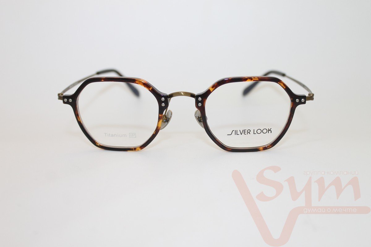 Оправа SILVER LOOK+футляр Т-18273 С5