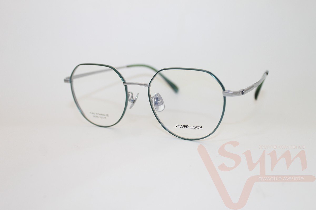 Оправа SILVER LOOK+футляр 26396 С4