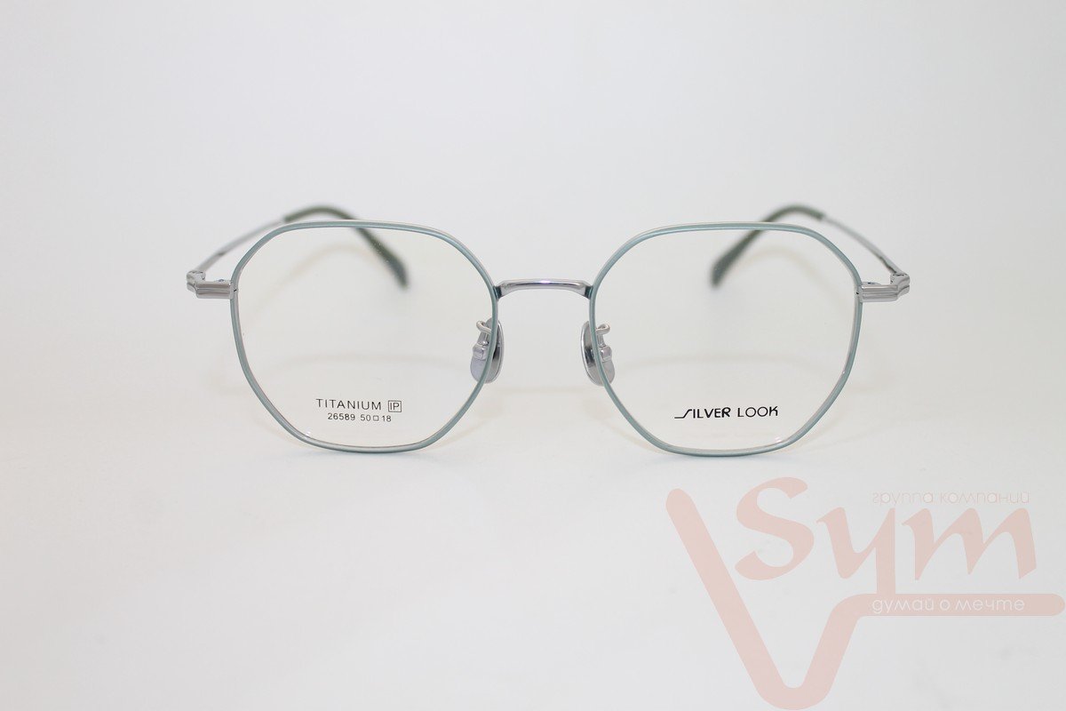 Оправа SILVER LOOK+футляр 26589 С4
