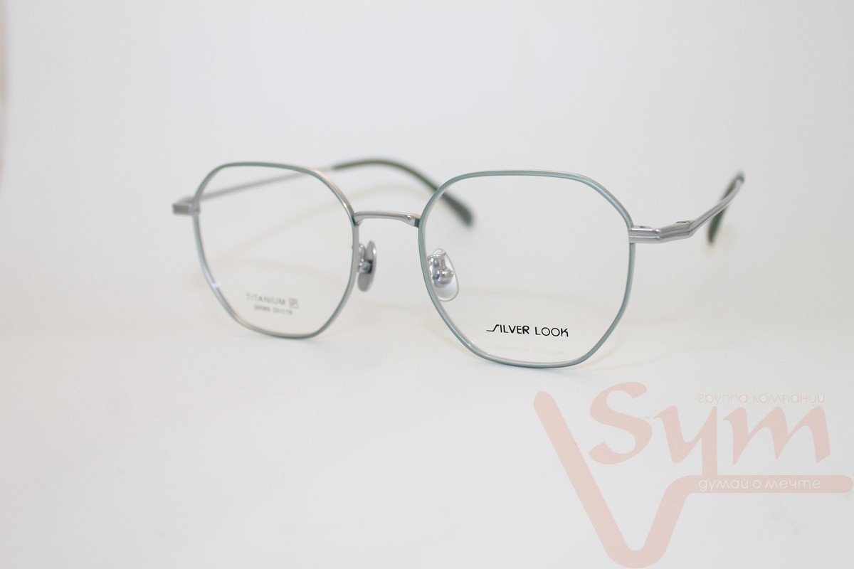 Оправа SILVER LOOK+футляр 26589 С4