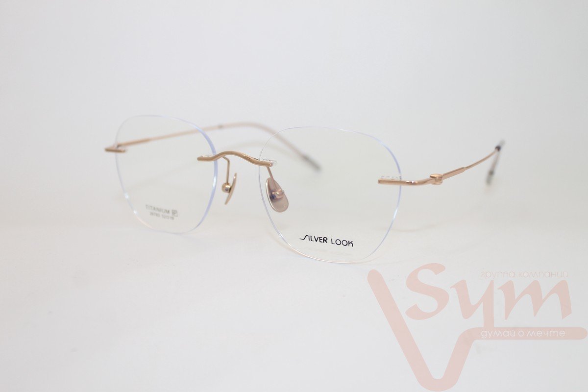 Оправа SILVER LOOK 26783 С1