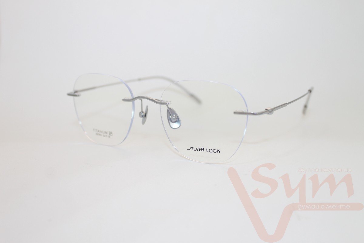 Оправа SILVER LOOK+футляр 26783 С3