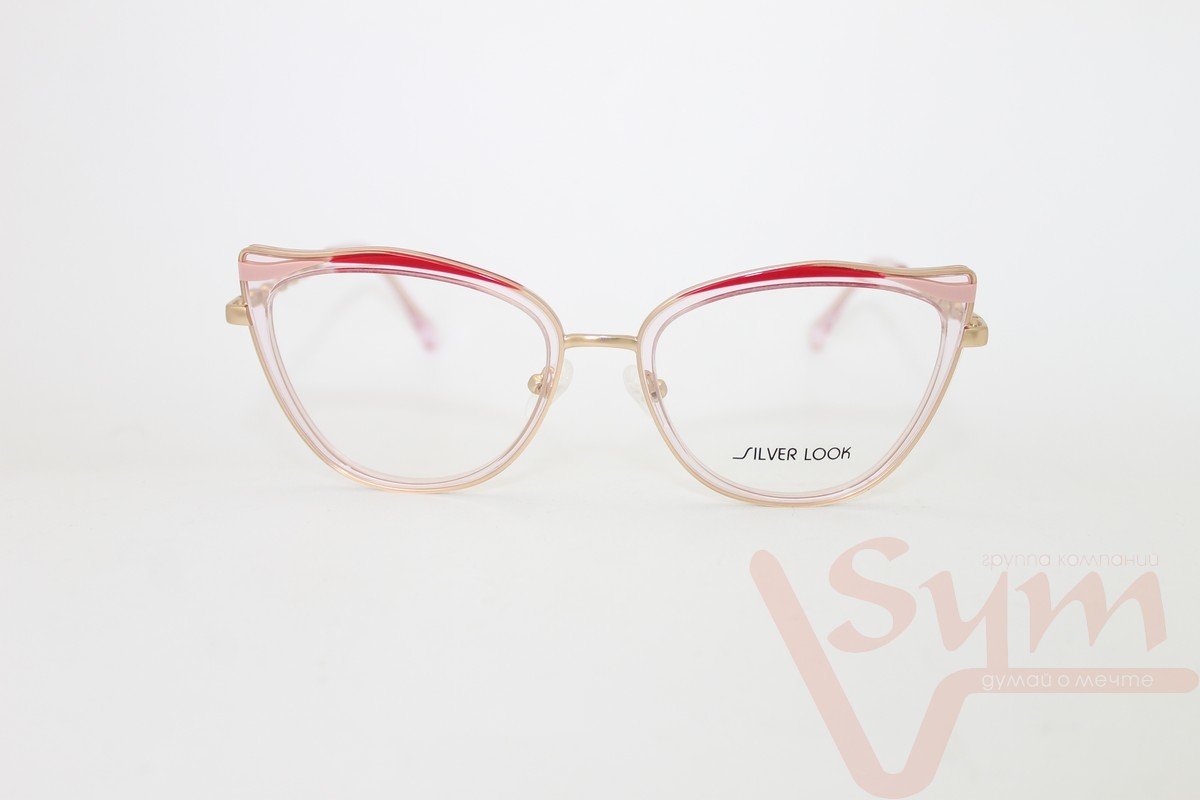 Оправа SILVER LOOK+футляр EM2088 С1