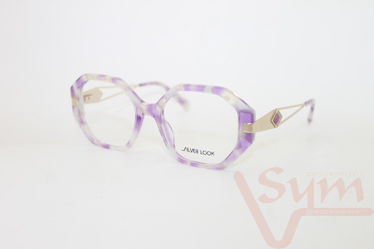 Оправа SILVER LOOK+футляр G8171 С6