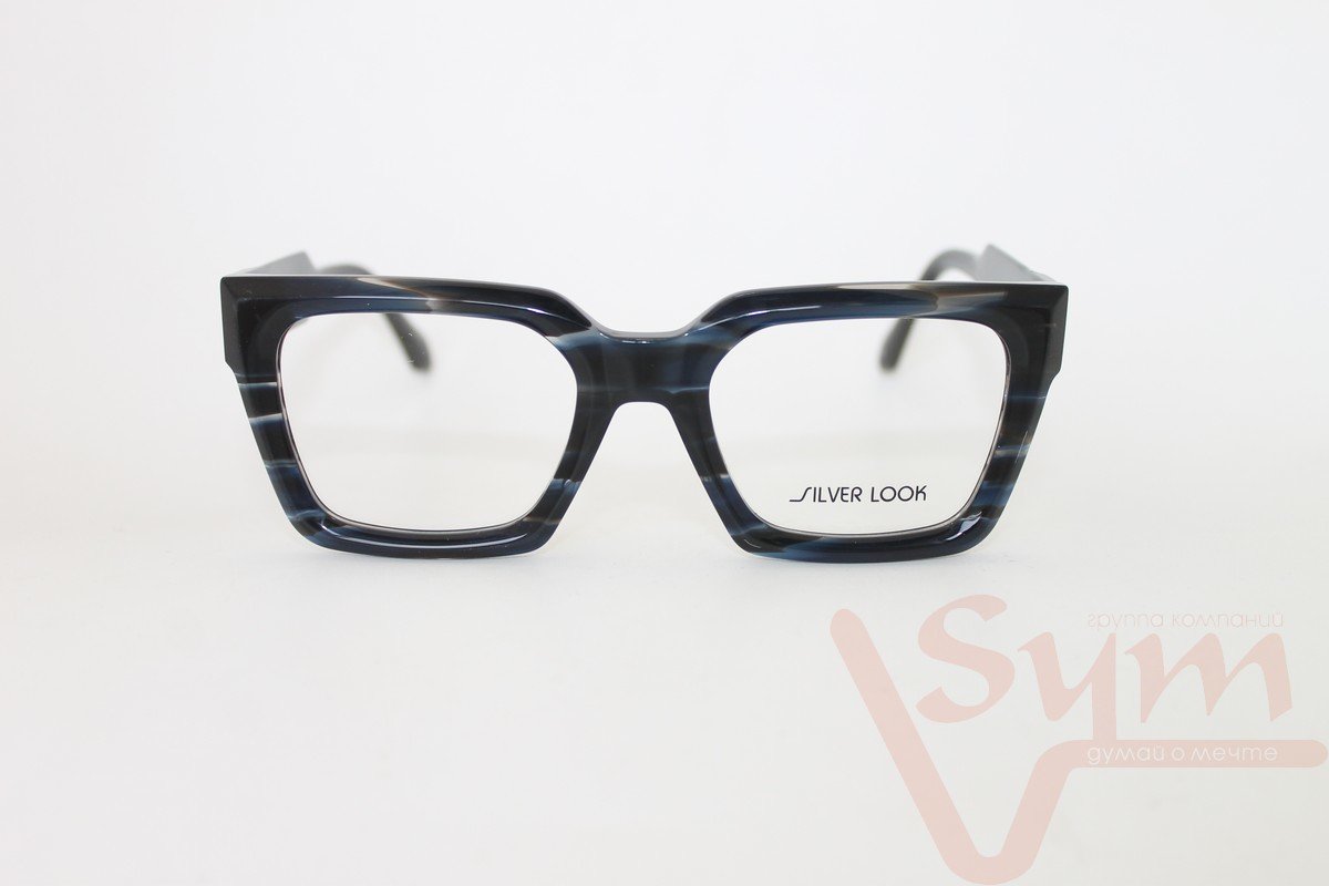 Оправа SILVER LOOK+футляр F2835 С5