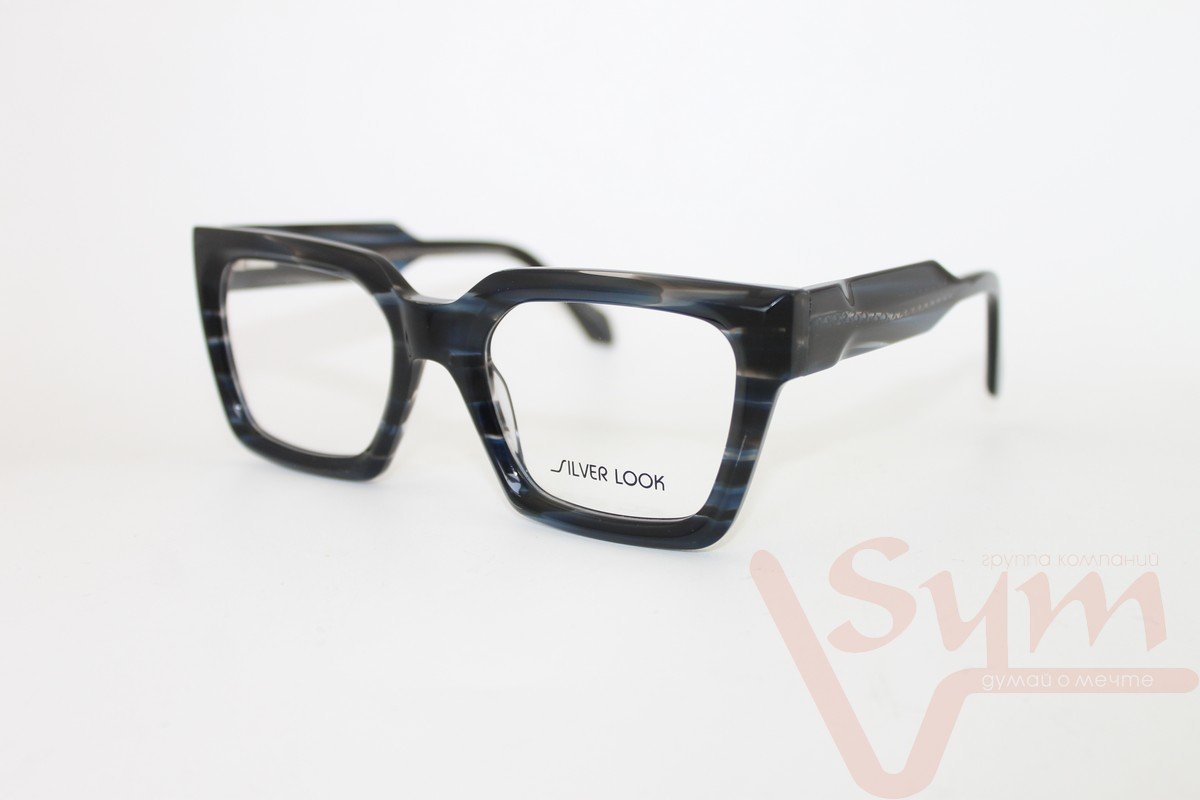 Оправа SILVER LOOK+футляр F2835 С5