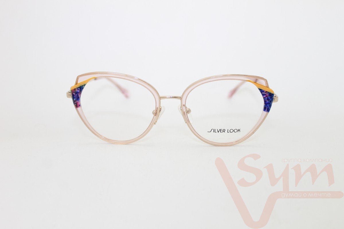Оправа SILVER LOOK+футляр EM2051 С3