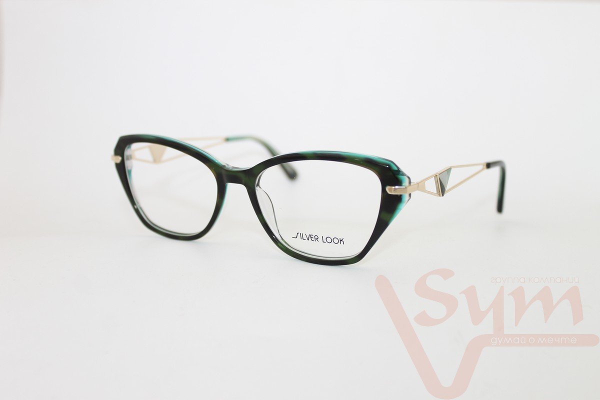 Оправа SILVER LOOK+футляр G8144 С5