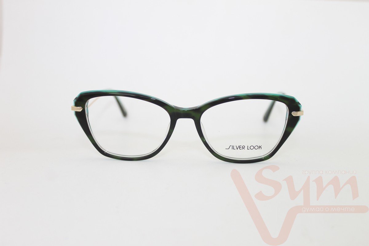 Оправа SILVER LOOK+футляр G8144 С5