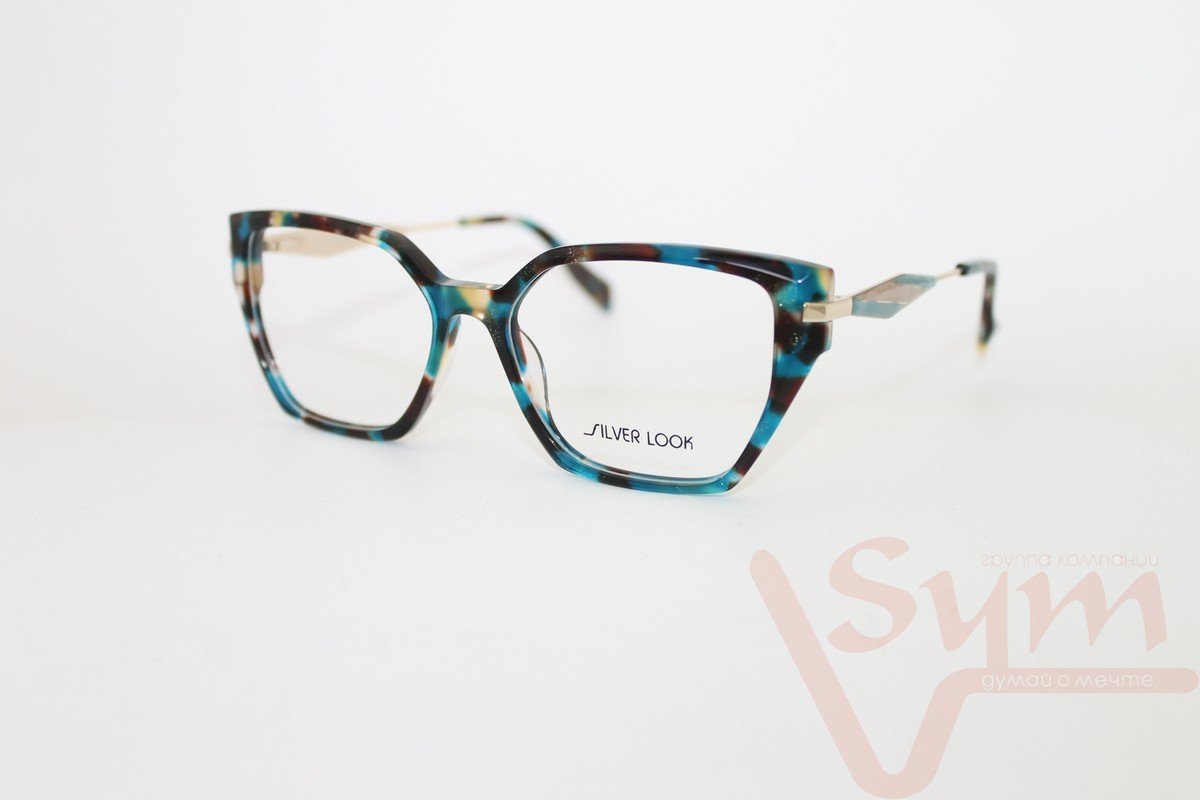 Оправа SILVER LOOK+футляр G8155 С6